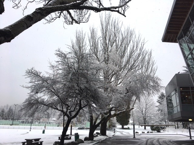 Burnaby Public Library, McGill, winter, snow