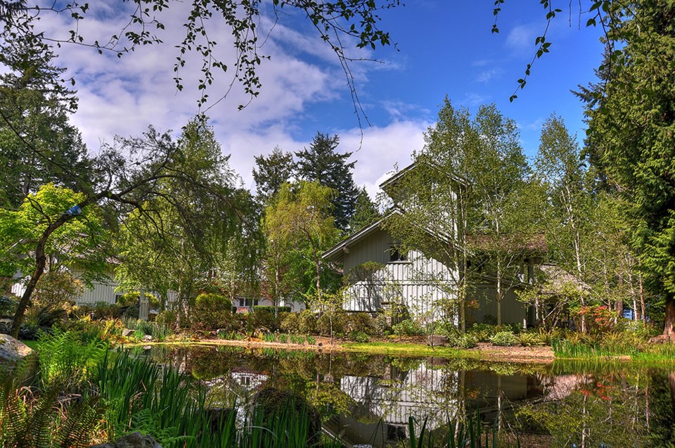 Subtle Islands house pond