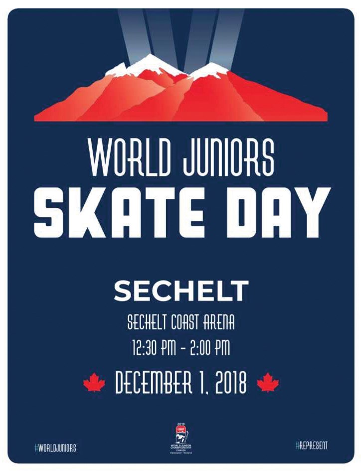 skate day