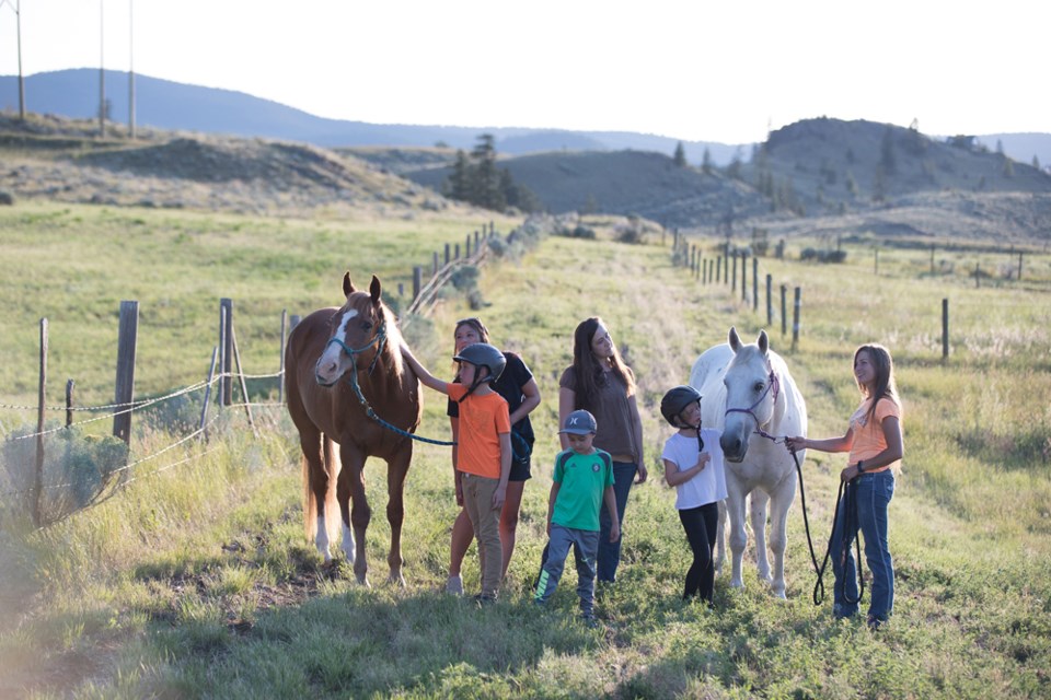 Weekly equine therapy in Cherry Creek is a crucial component of the Falcon Program, a multi-agency partnership aimed at helping kids who are victims of adversity and trauma learn to manage their feelings and behaviour so they can gradually increase the amount of time they are able to be in the classroom.