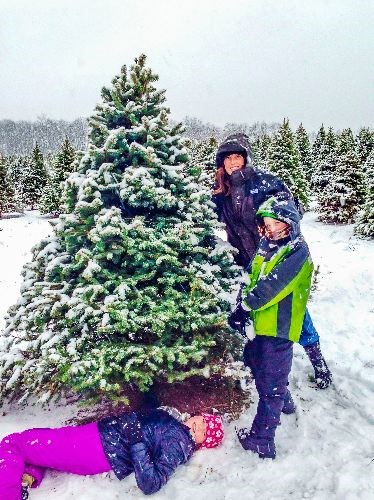 Christmas-tree-permits.04_1.jpg