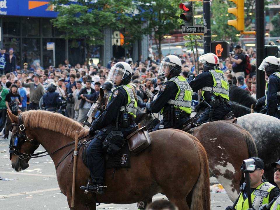 Vpd Horses