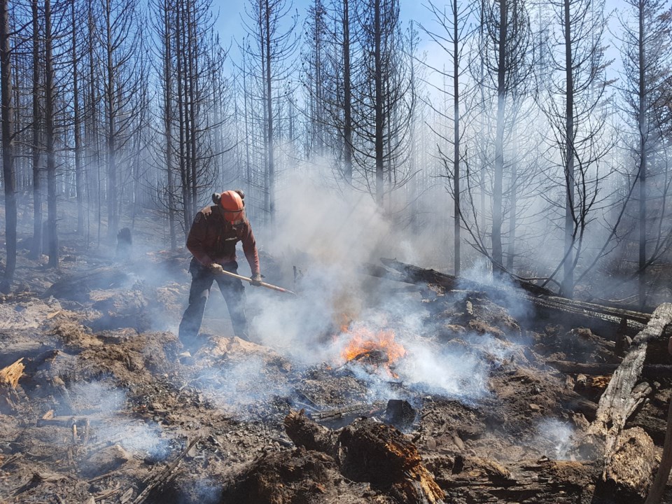 wildfire-fighters-jobs.07_1.jpg