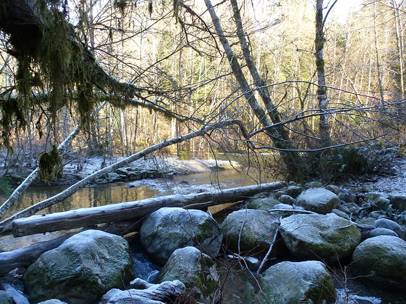 A side channel of the Coquitlam River is quiet as frost dusts the rocks. These peaceful conditions could change with a forecast of mixed rain and snow for the overnight in Coquitlam.