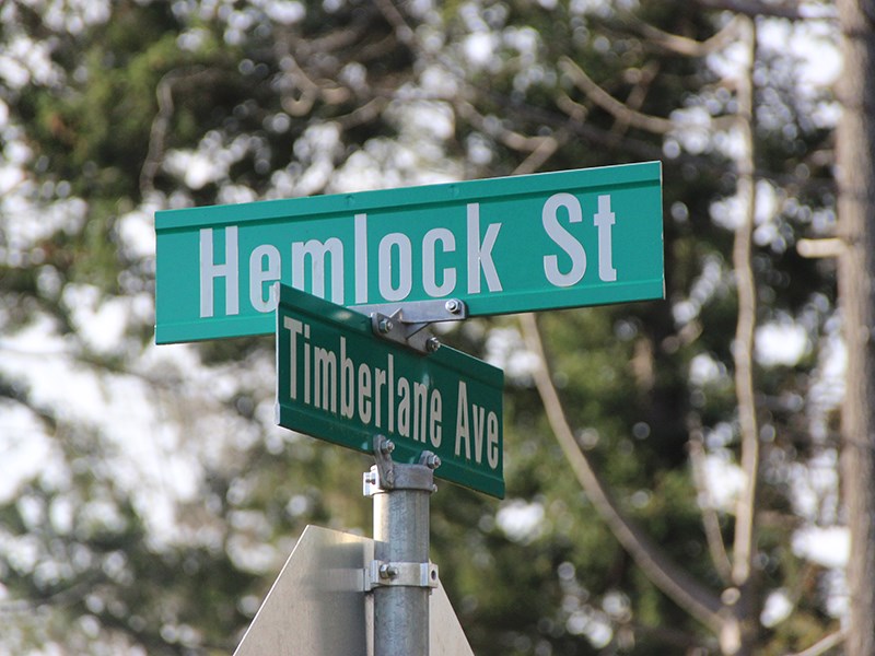 hemlock