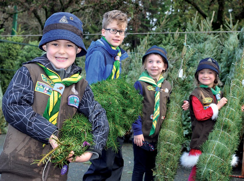 Parkgate Scouts Xmas Trees