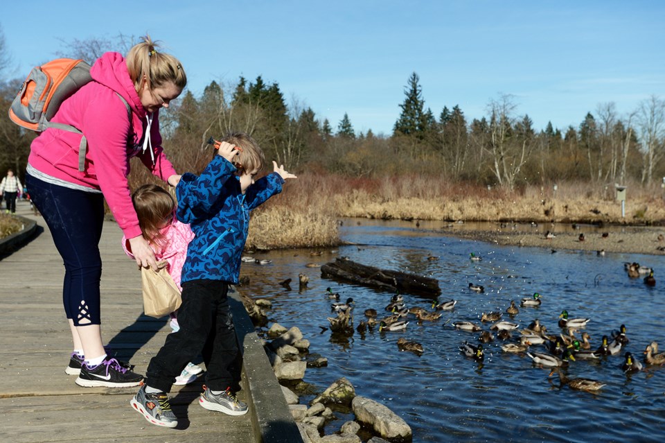 Burnaby Lake