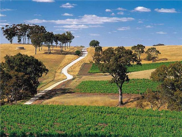 Barossa Valley Estate