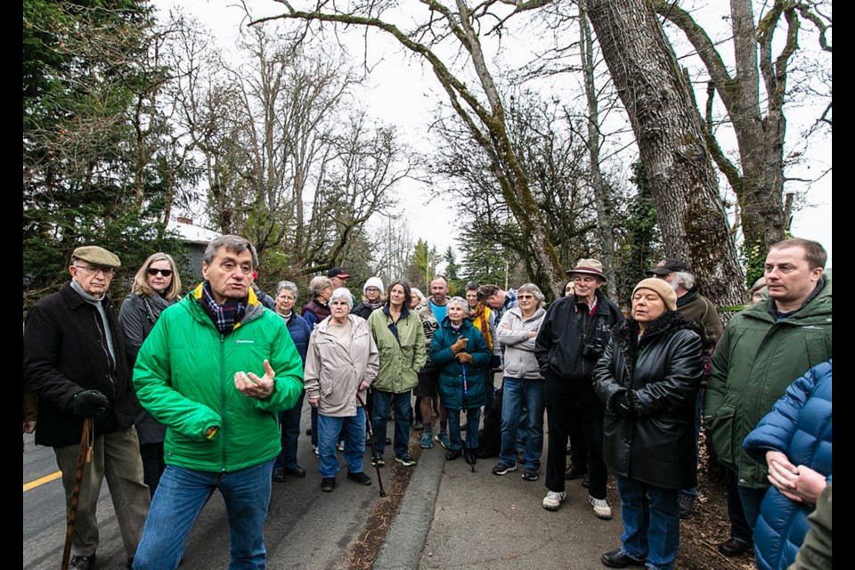 Saanich Mayor Fred Haynes, front left, tours Grange Road with area residents who were concerned that installation of a sewage pipe would result in the loss of dozens of trees. But sewage project officials have moved the route to the other side of the road to spare the trees.