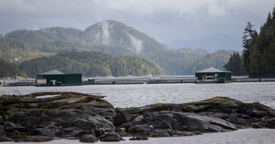 Marine Harvest fish farm near Midsummer Island, near Alert Bay.