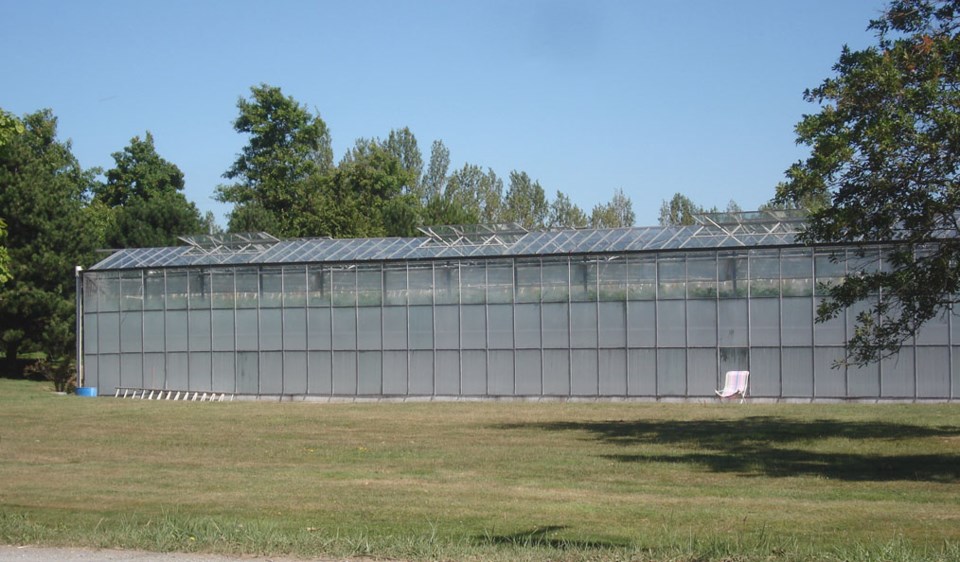 delta cannabis greenhouse