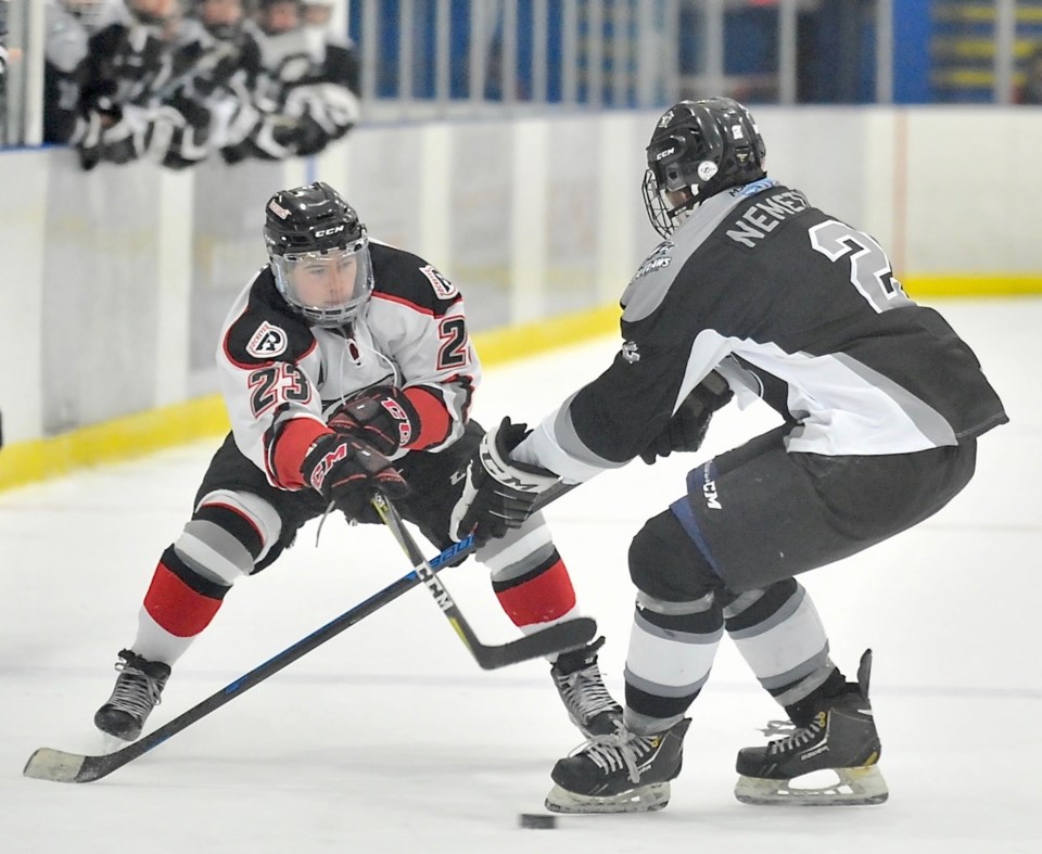sockeyes