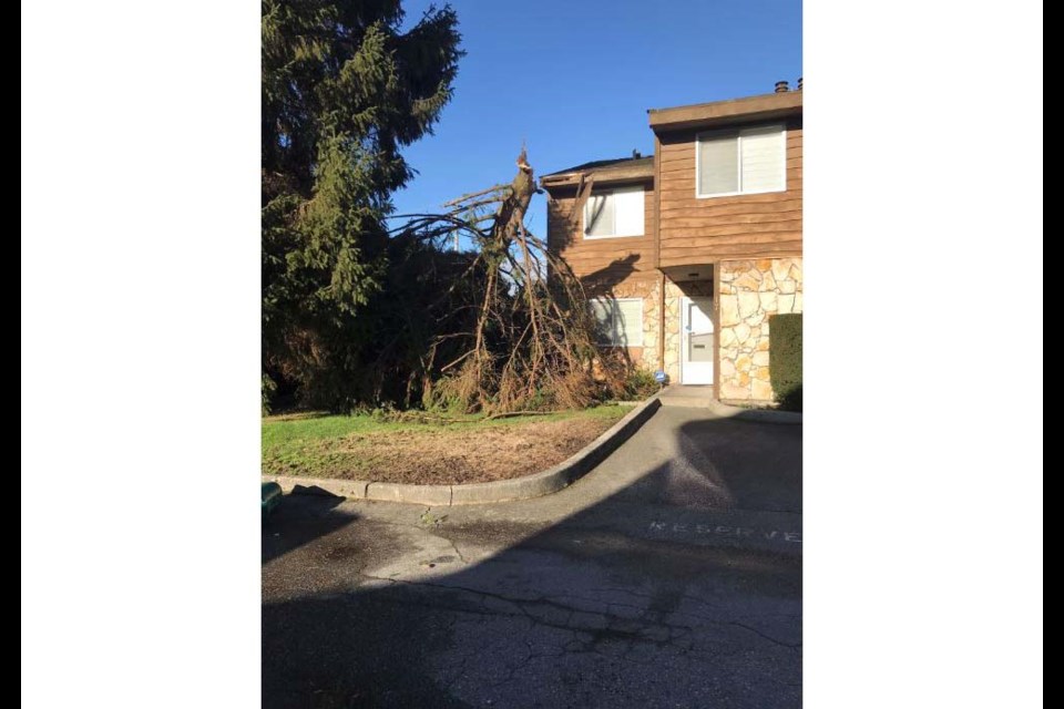 This photo posted on Twitter by Chris Witney shows the extent of the windstorm Thursday lunchtime