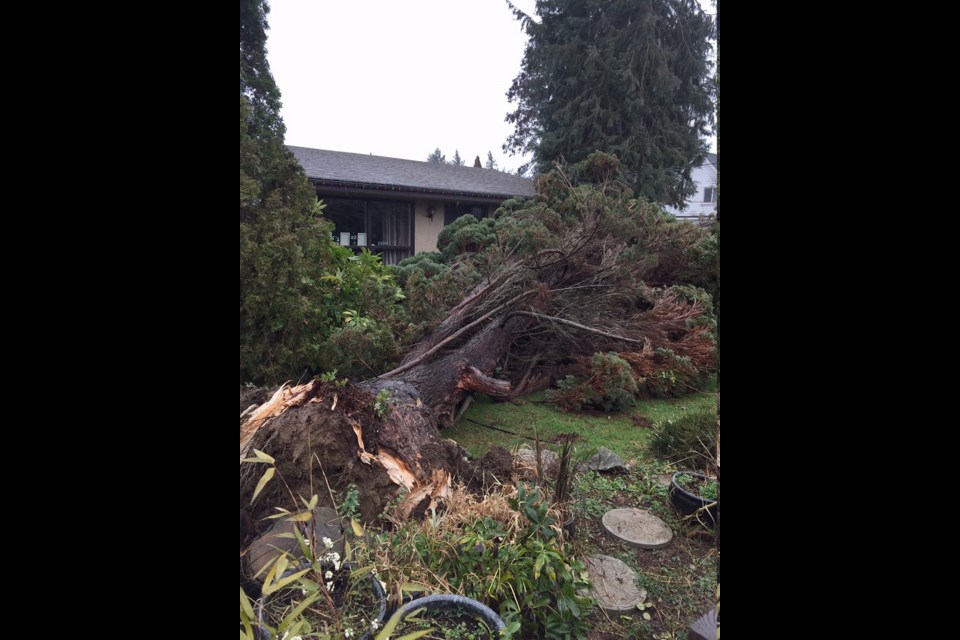 Storm damage in Duncan. No one was hurt.