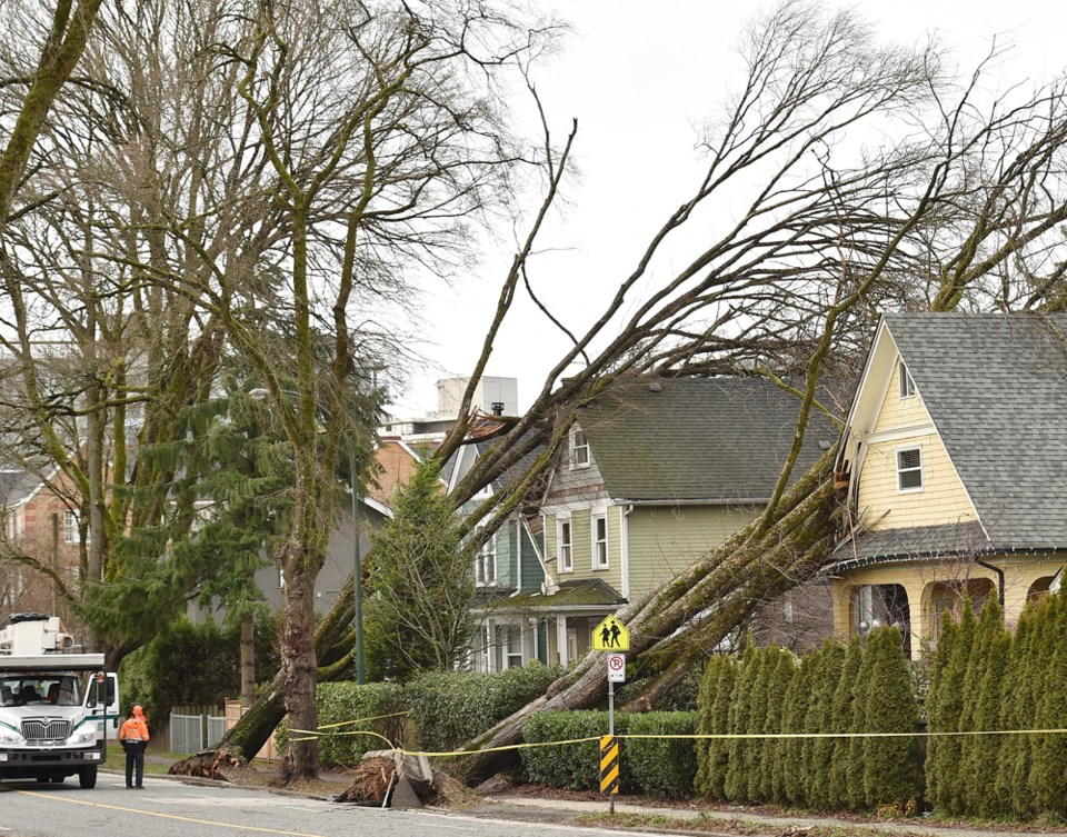 wind storm