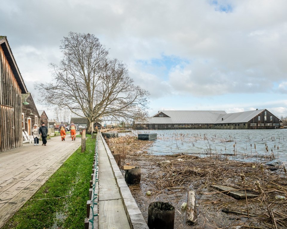 steveston tides