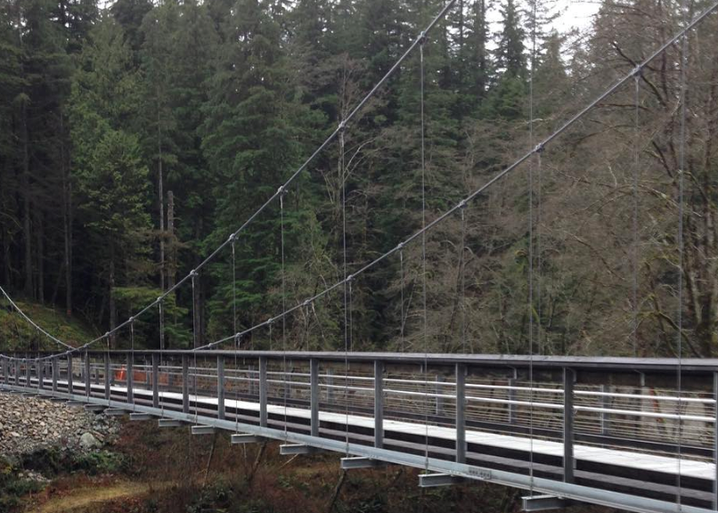 Suspension bridge