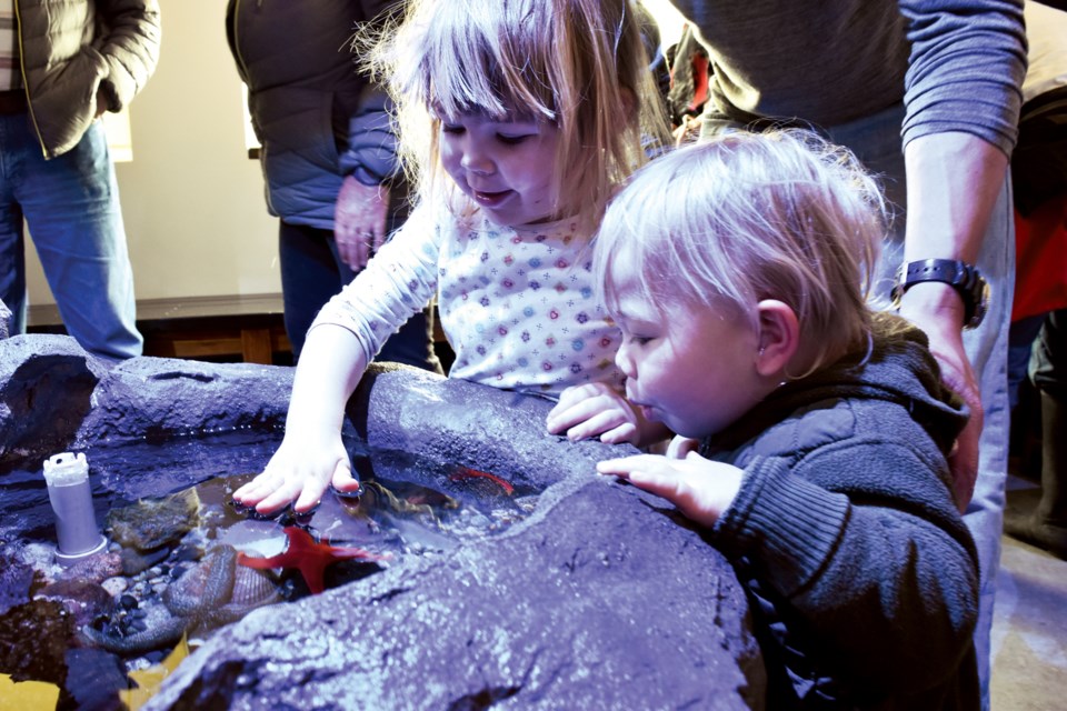 The Sonntag Marine Education Centre held an afternoon of free admission for the public to celebrate its official opening on Saturday, April 7. Specimens include rockfish and Puget Sound king crab.