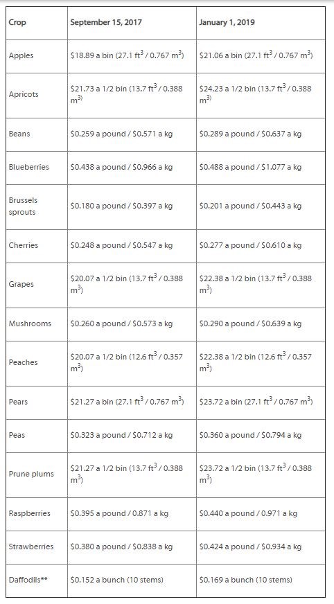 piece rates