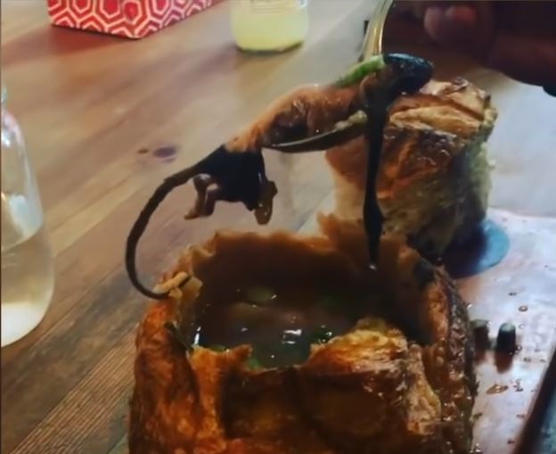 An Instagram video allegedly showing a rat found in a soup bowl of a Gastown restaurant