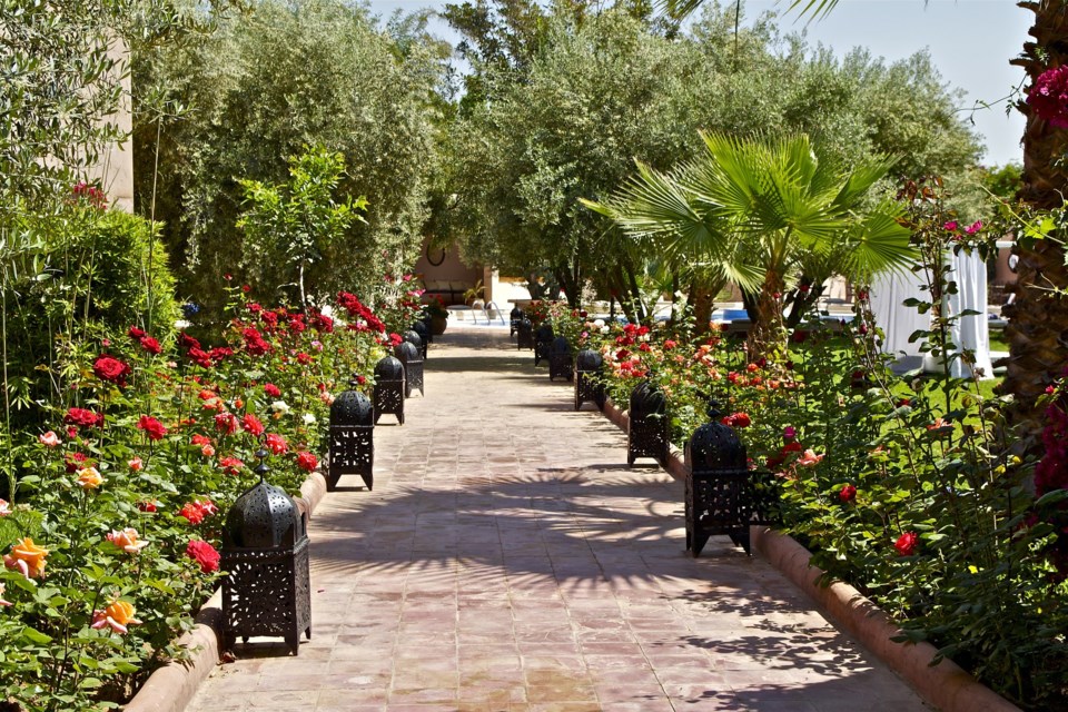 morocco garden