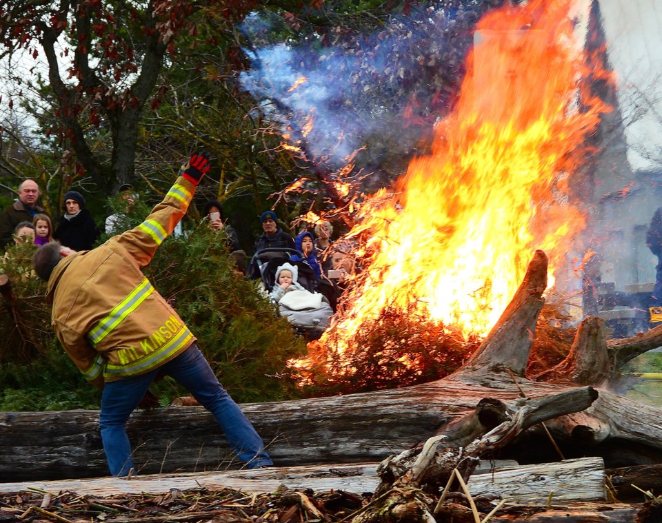 Tree chipping 1