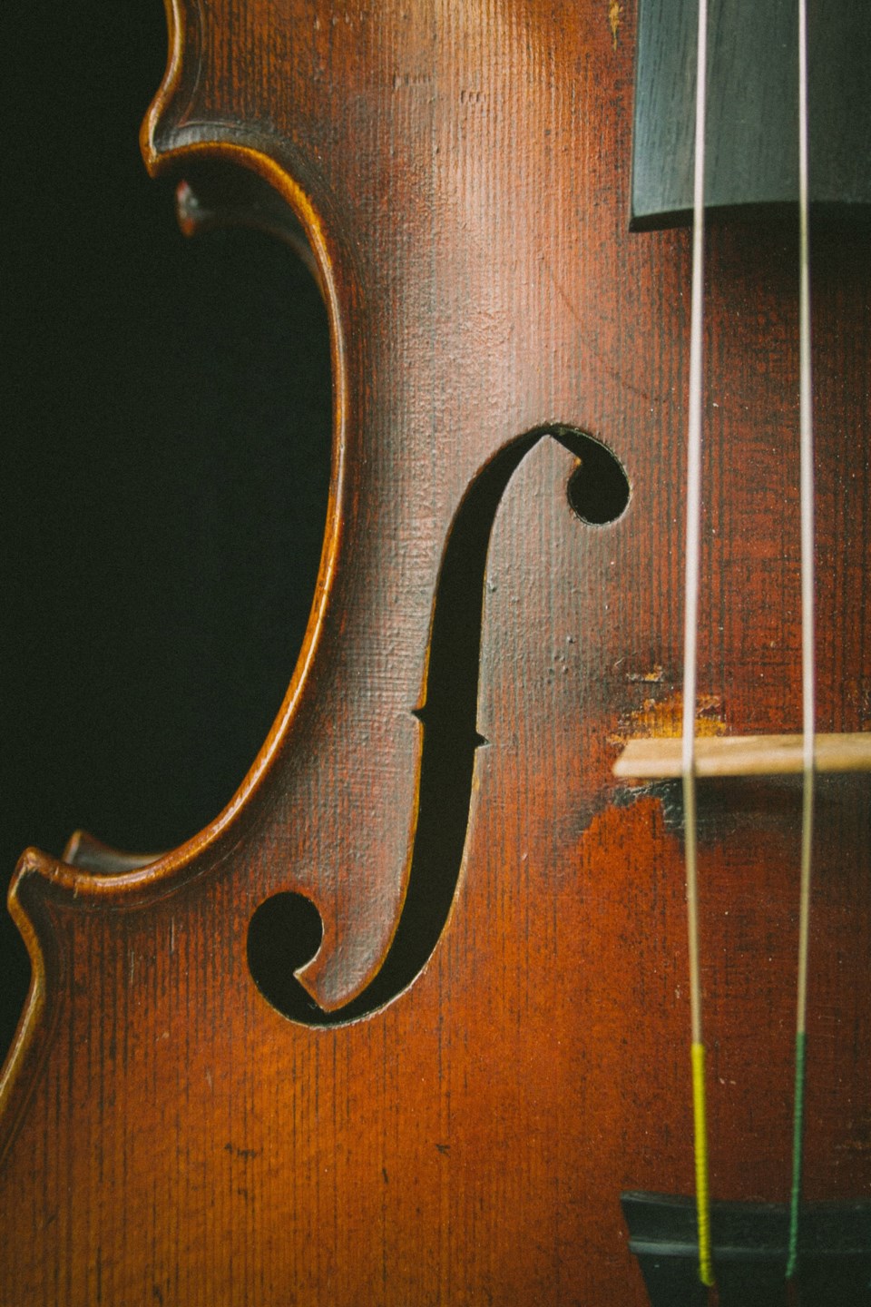 stock photo, violin