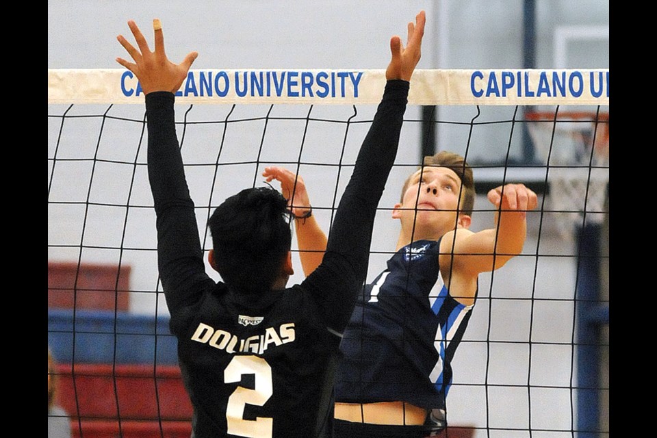 Markus Bratsberg of the Capilano Blues loads up a spike during a PacWest match earlier this season. Bratsberg is a rare breed as an elite male volleyball player from North Vancouver – there weren’t many options for boys volleyball as he was growing up on the North Shore. photo Paul McGrath, North Shore News