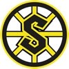 steelers logo