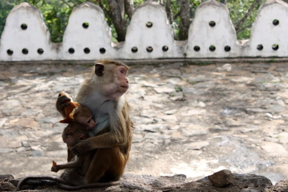 Sri Lanka
