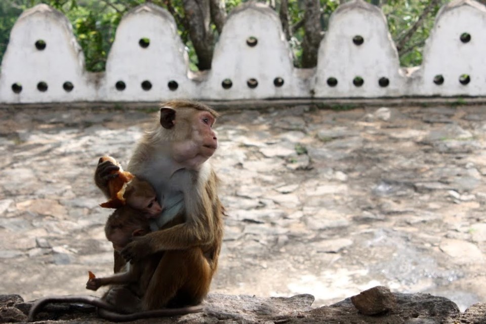 Sri Lanka