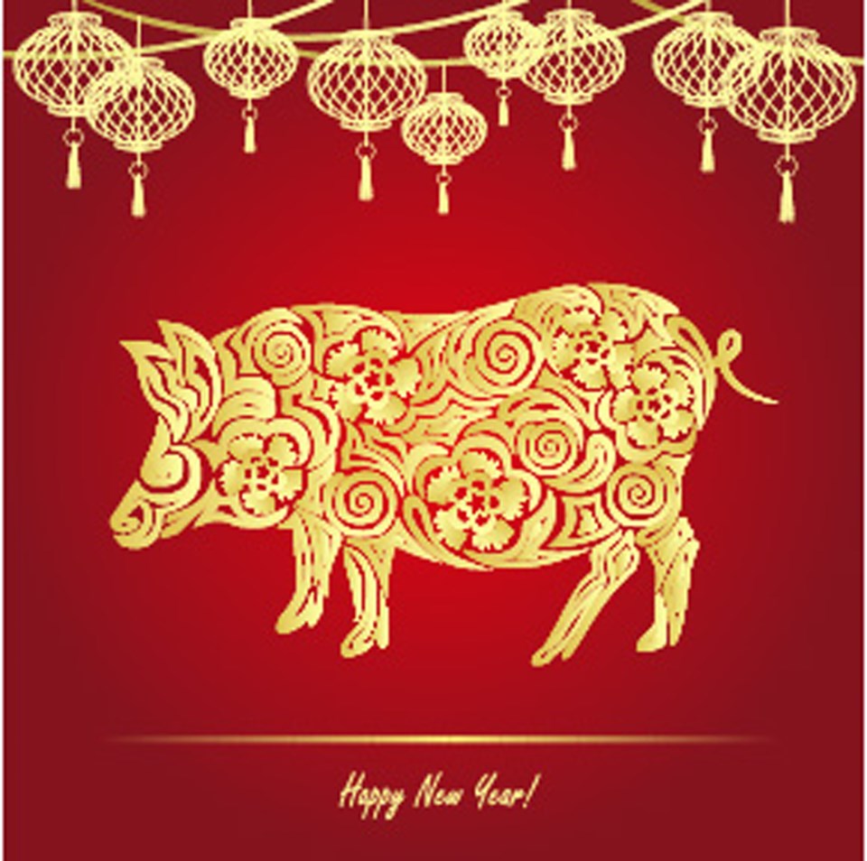 Year of the Pig, Lunar New Year