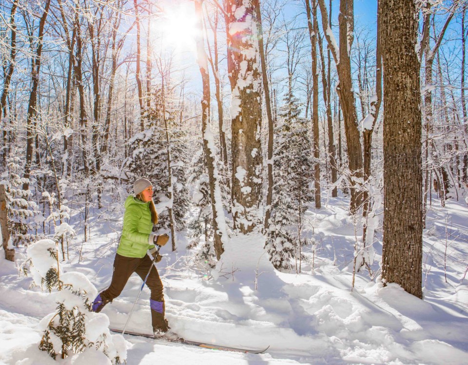 Birchleg-ski.15_1142019.jpg