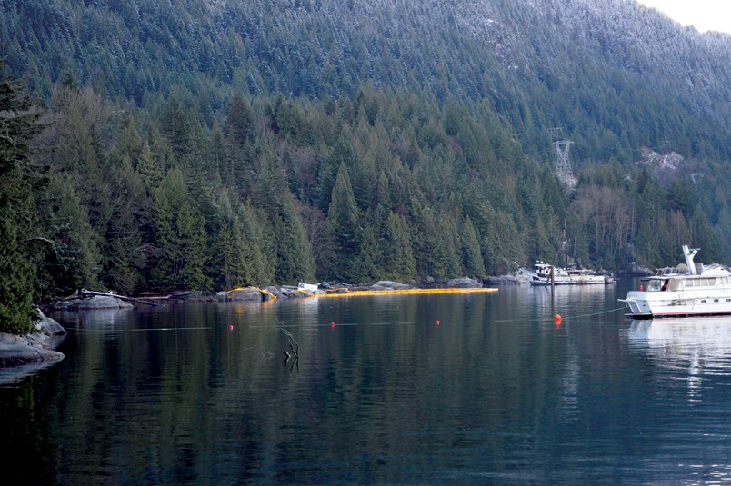 sunken boats
