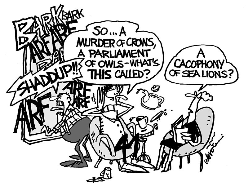 Powell River cartoon