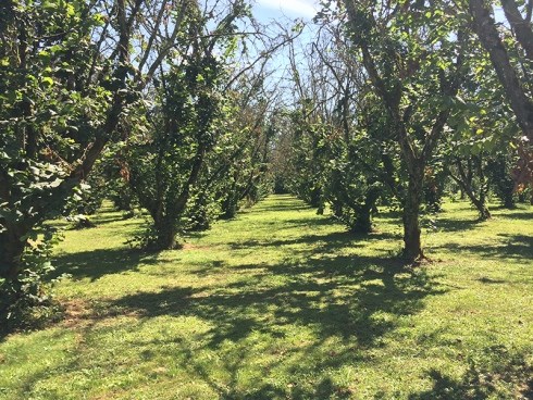 Circle Farm Tour_0