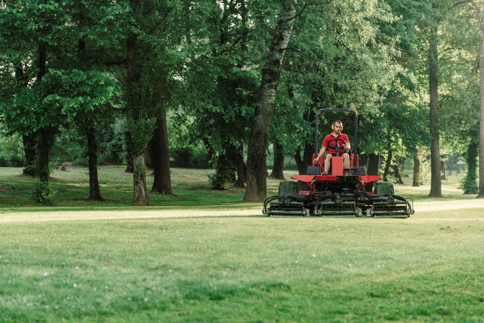 park board going green