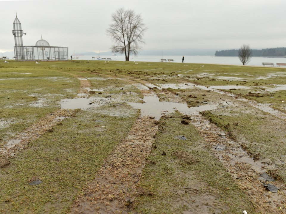 Tire ruts between four and six inches are spread across the field at Vanier Park after vandals drove