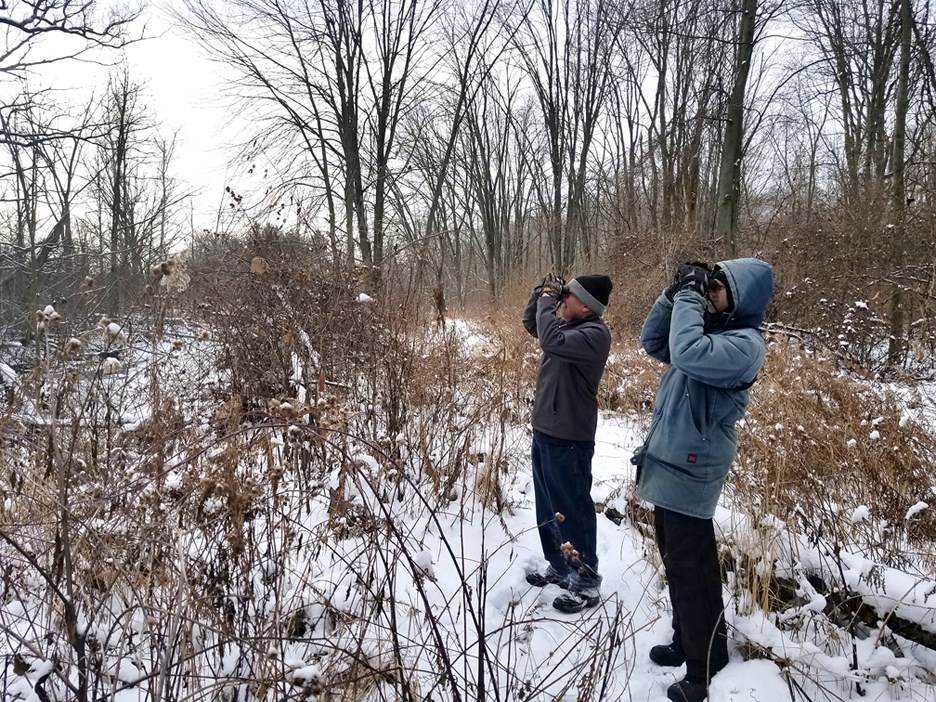 birders