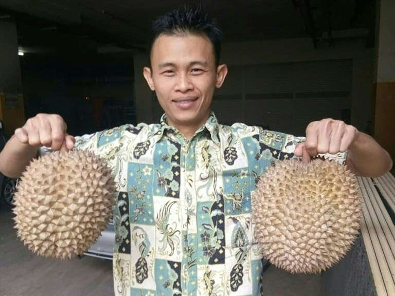 ddb3121b33bdc4f859bc04ffe8d0d4e4481c8666.jpg