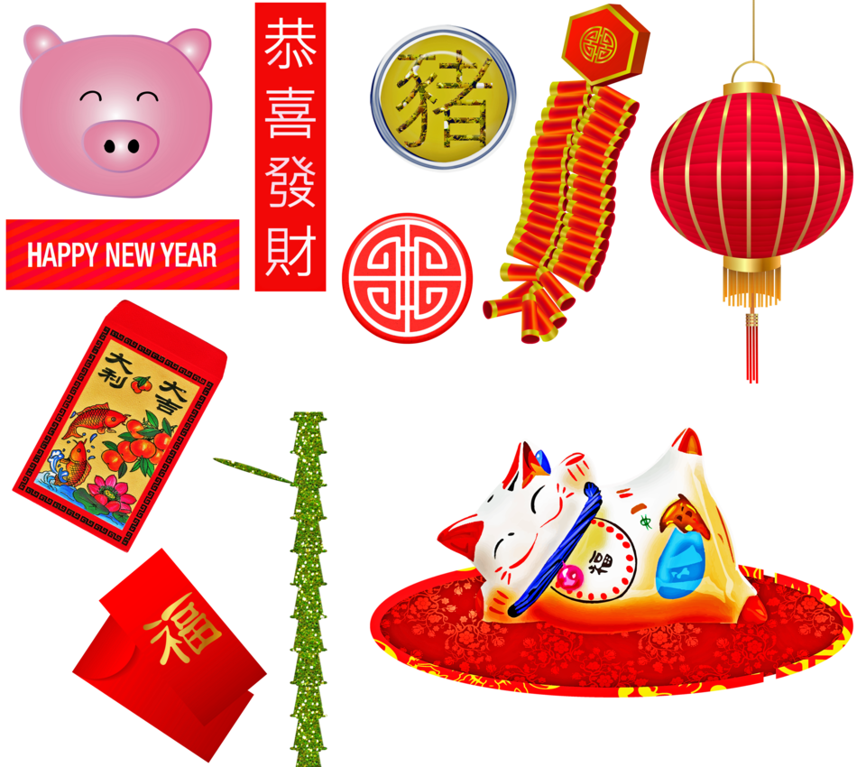 year of the pig