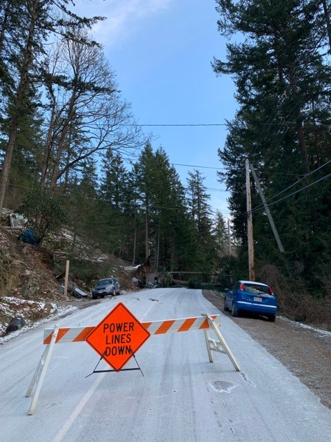 A tree fell across Miller Road in the Seven Hills area last night, closing the road.