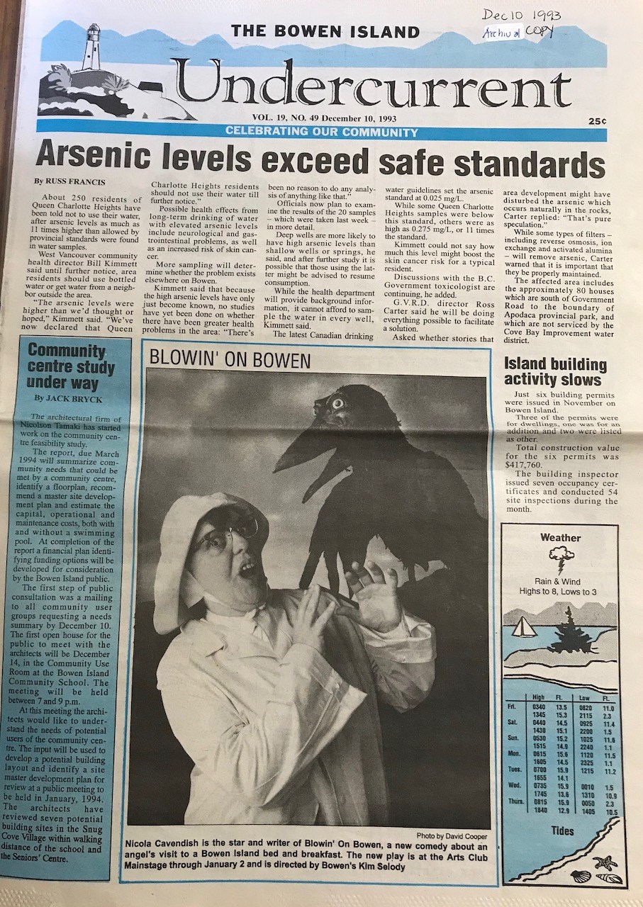 The Undercurrent in December 1993.