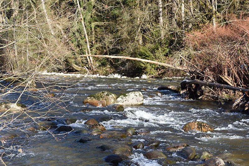 Coquitlam River