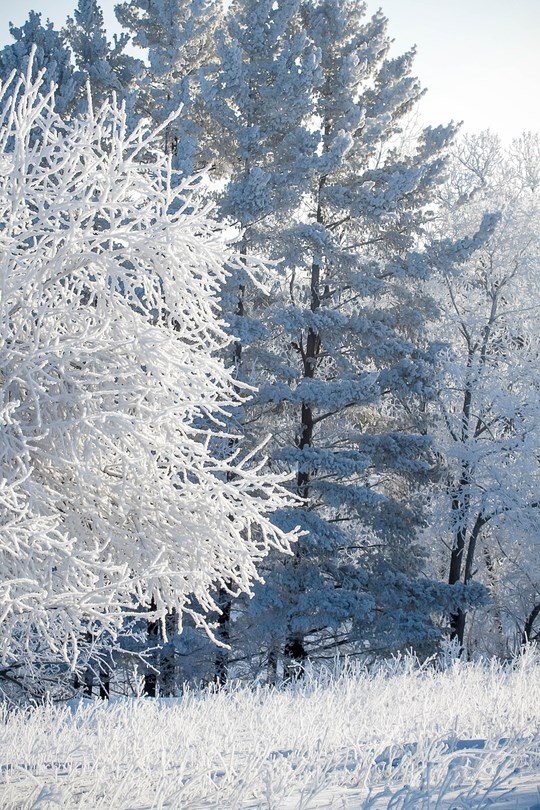extreme-cold.09_282019.jpg