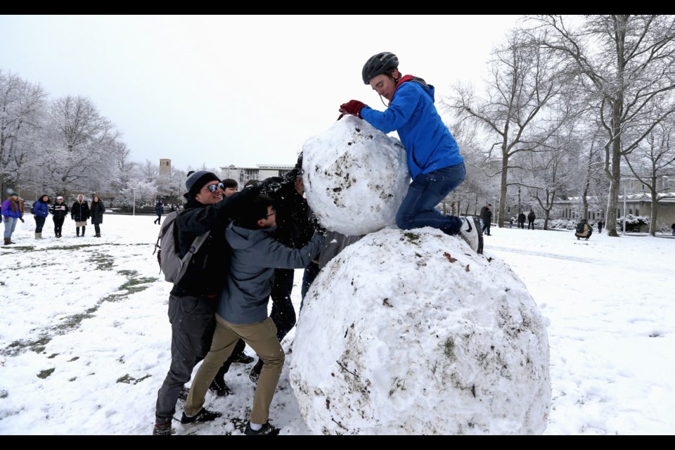 It was an idea that started to snowball. University of Victoria biology student Anthony Clark, on top, got the idea rolling. He drew other students to help create a giant snowperson.