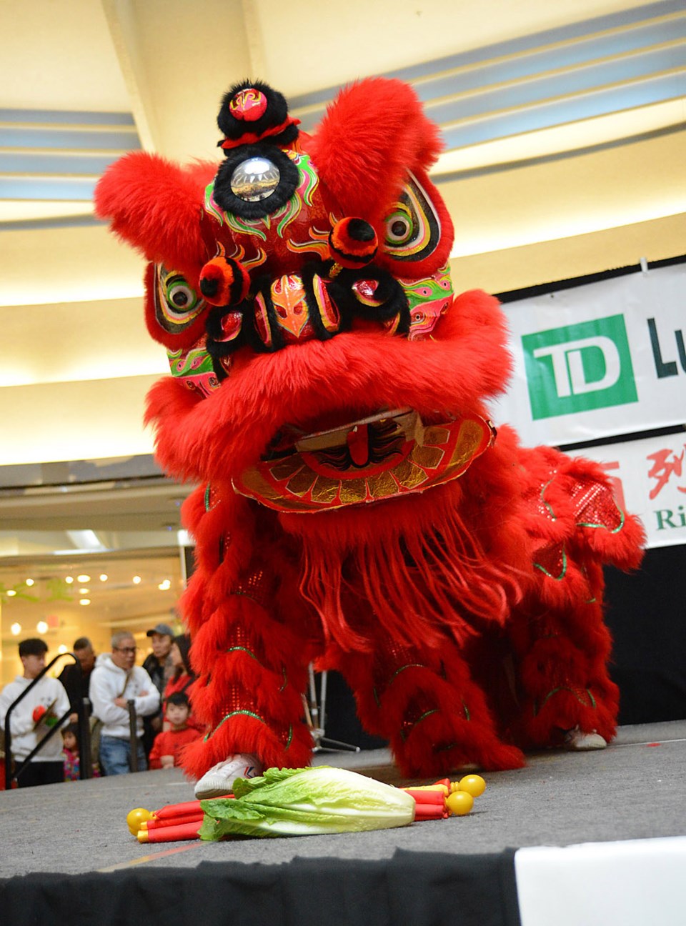 Chinese New Year Lansdowne 11