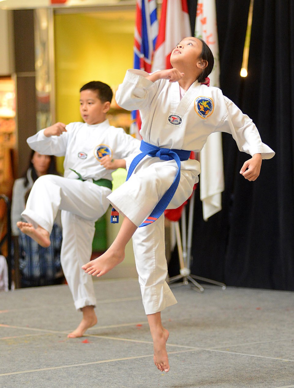 Chinese New Year Lansdowne Martial Arts