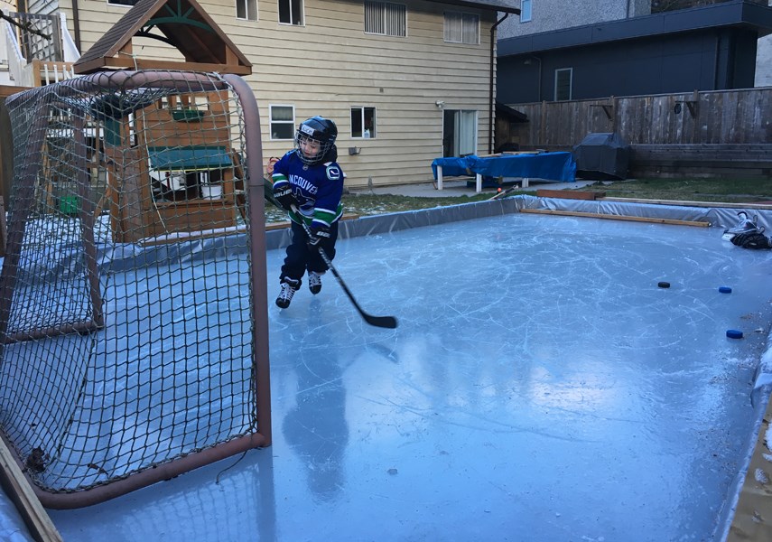 backyard rink