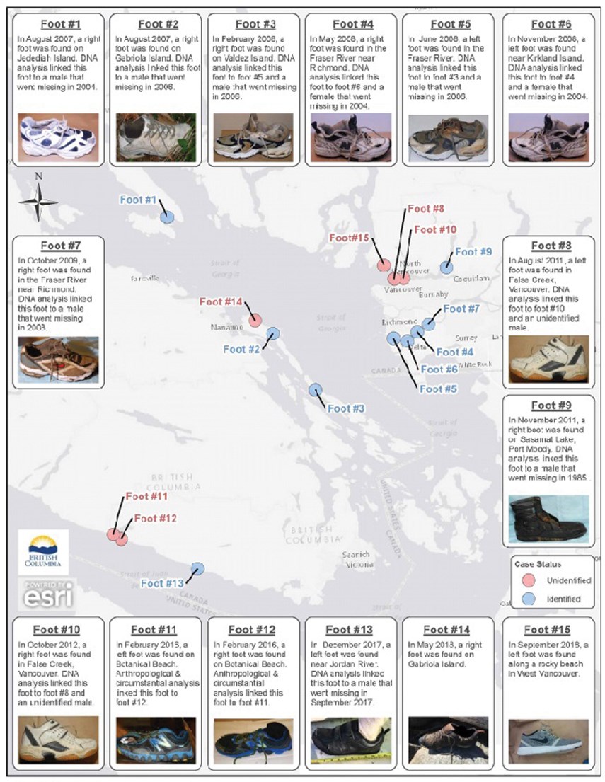 coroners infographic